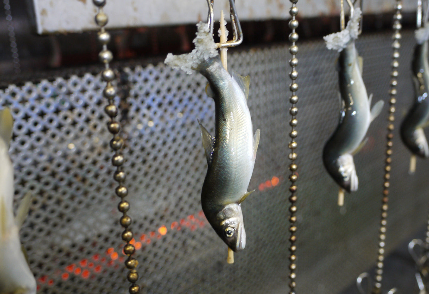 【夏季限定】ひとくちあゆの塩焼き(加熱処理済み・あゆ加工品)GY13-イメージ2