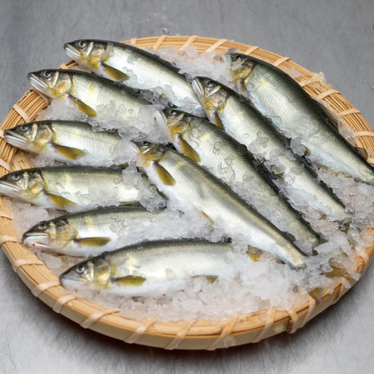 【夏季限定】活〆あゆ(小サイズ) GY7-イメージ1